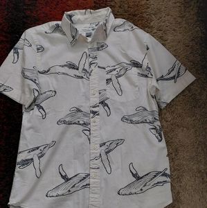 Men's Printed Collared Shirt